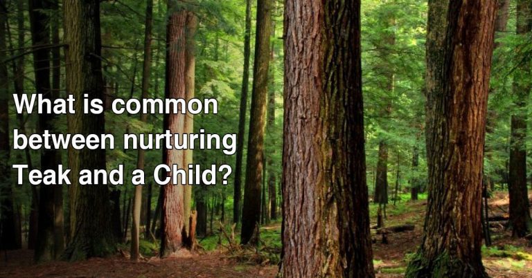 Are Virtues, Values and Radiance Innate qualities in a Child?